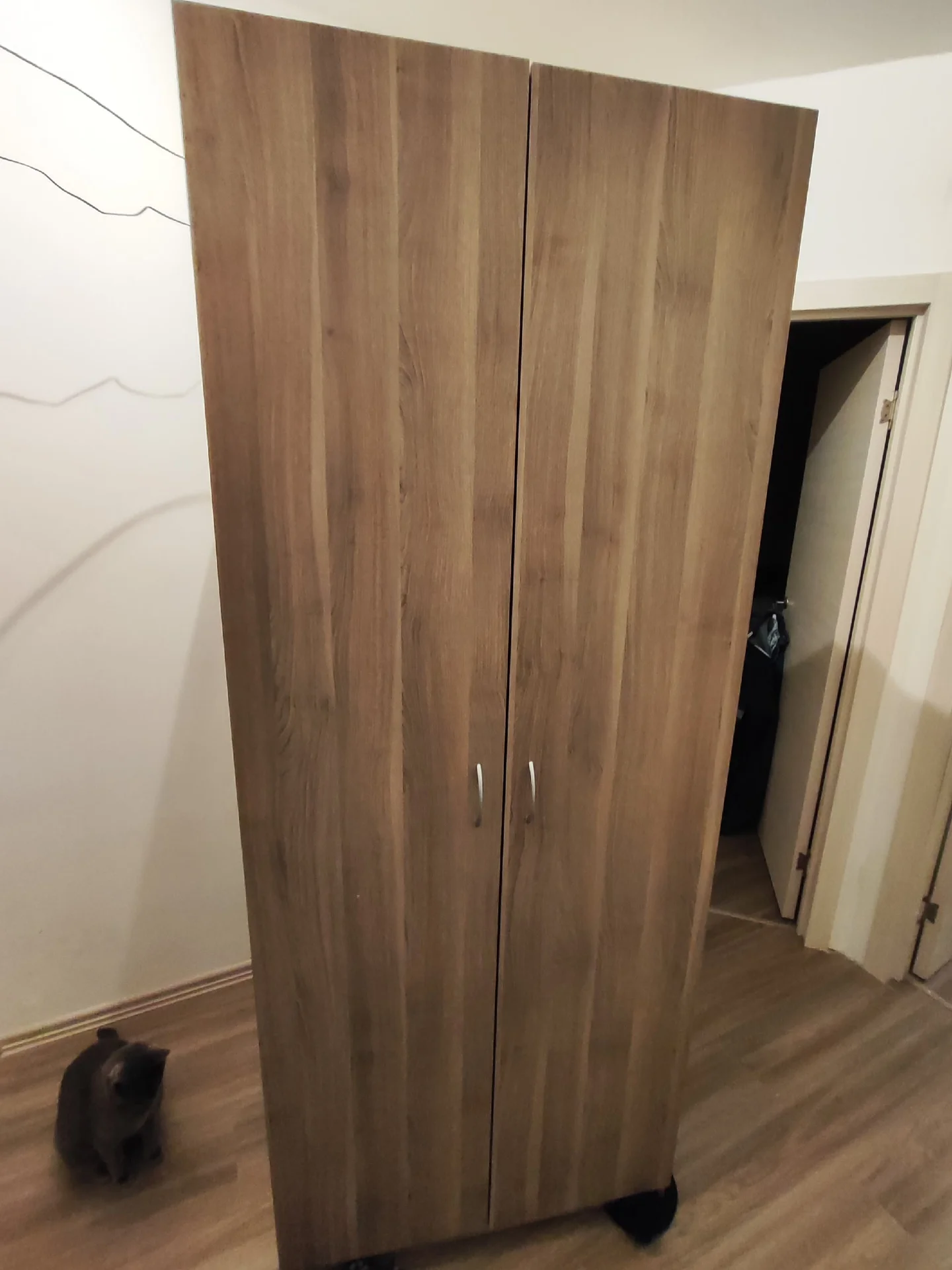 Шкаф IKEA 80х202х58 - изображение 1