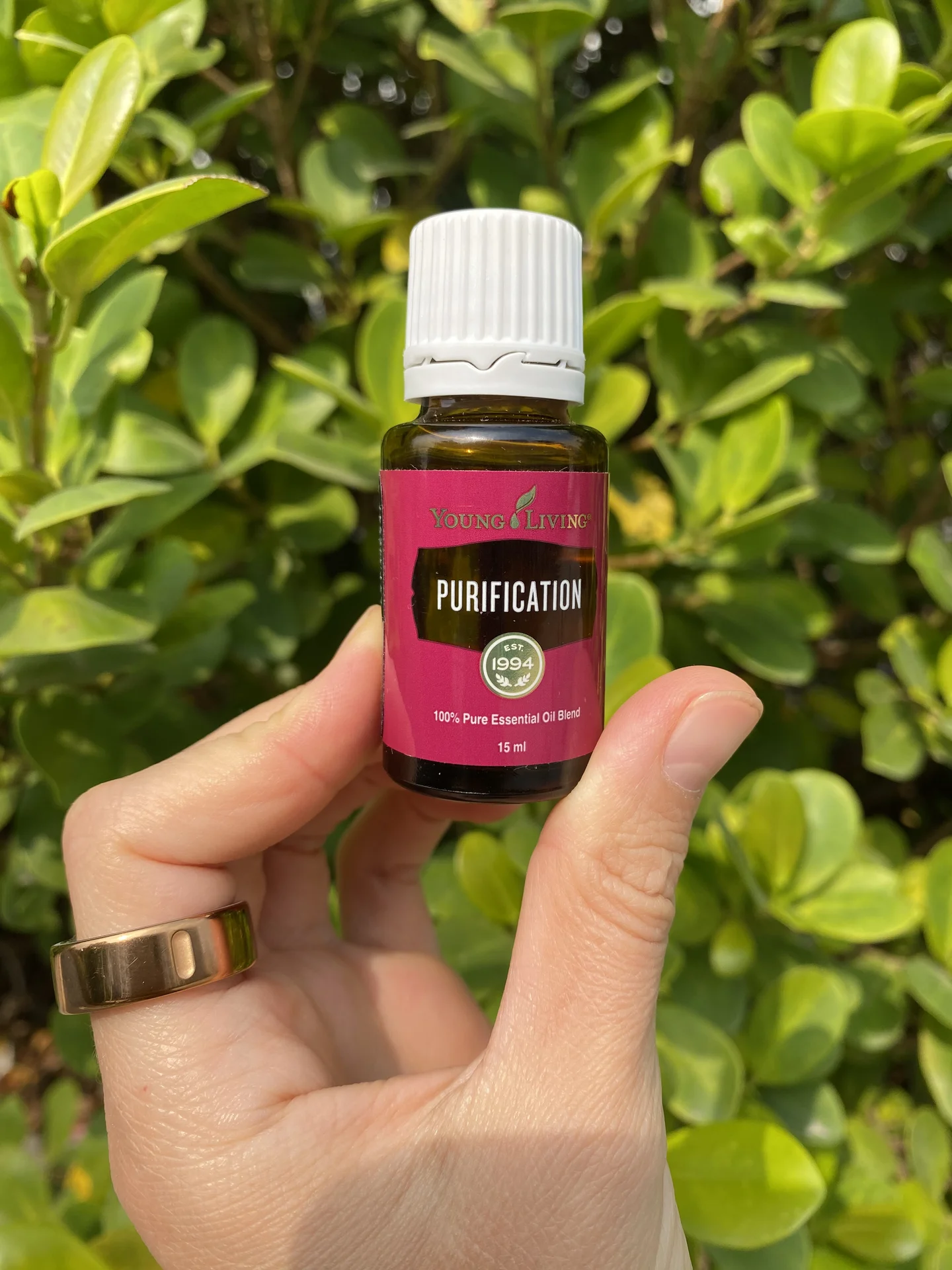 Эфирные масла Young Living (Янг Ливинг)