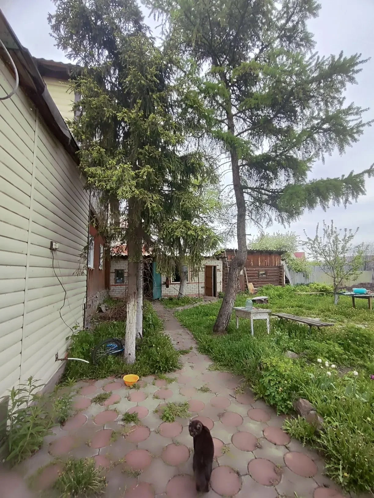🏡 Продаётся уютный дом в Синеглазово! - миниатюра 6