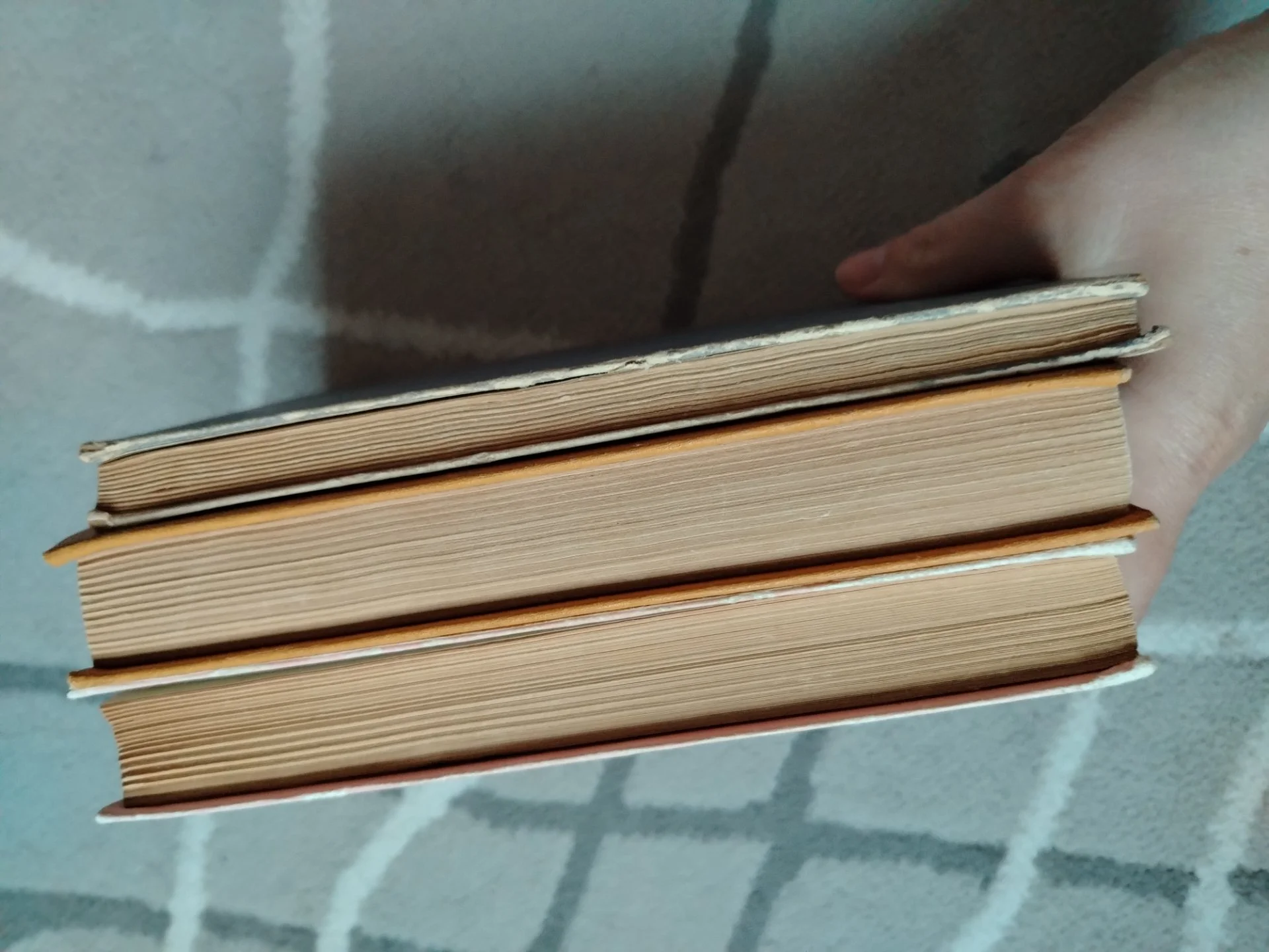 Книги СССР 3 шт Григорий Боровиков. Ирина. Ника. Анюта. - миниатюра 4