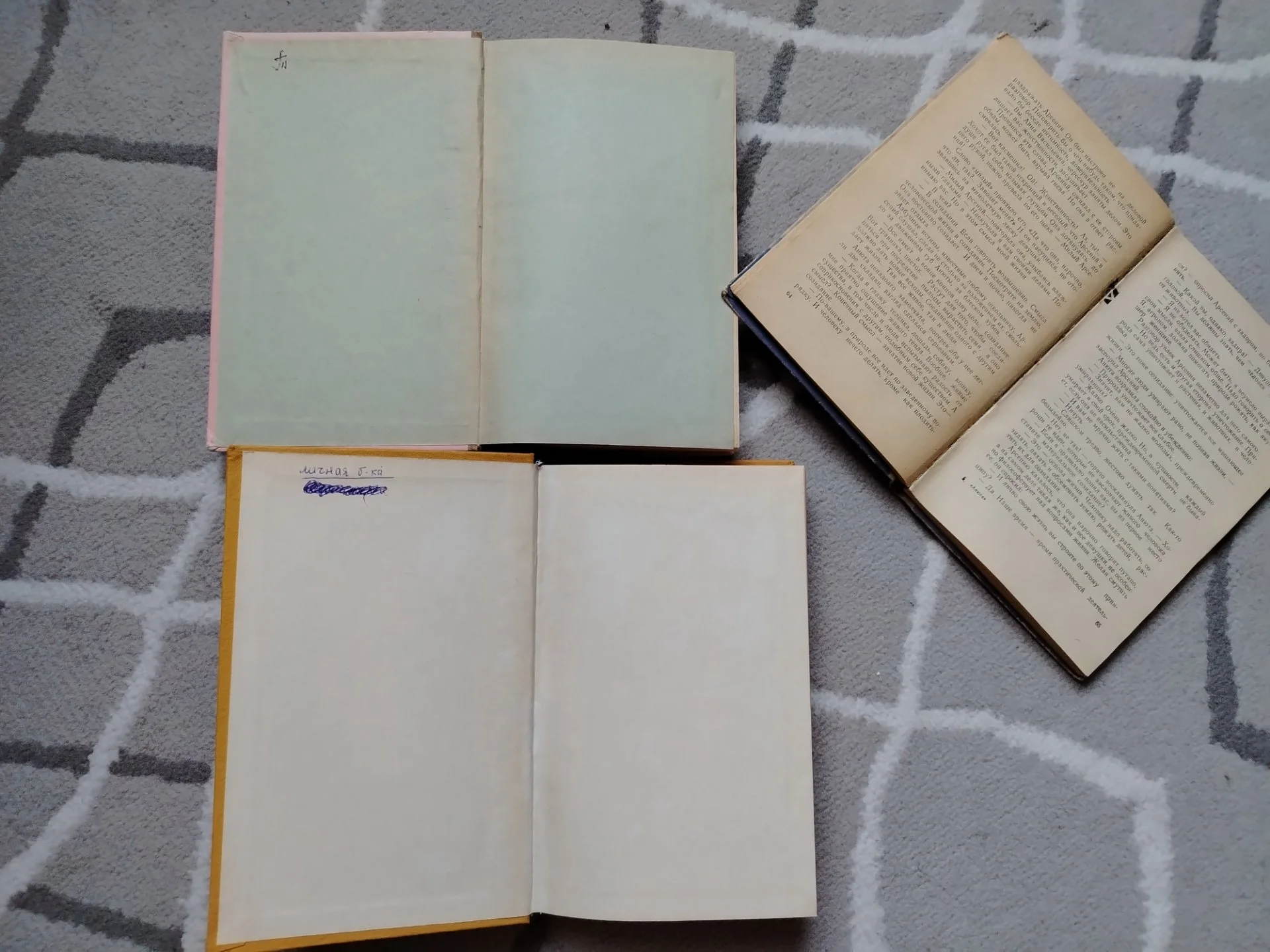 Книги СССР 3 шт Григорий Боровиков. Ирина. Ника. Анюта. - миниатюра 5