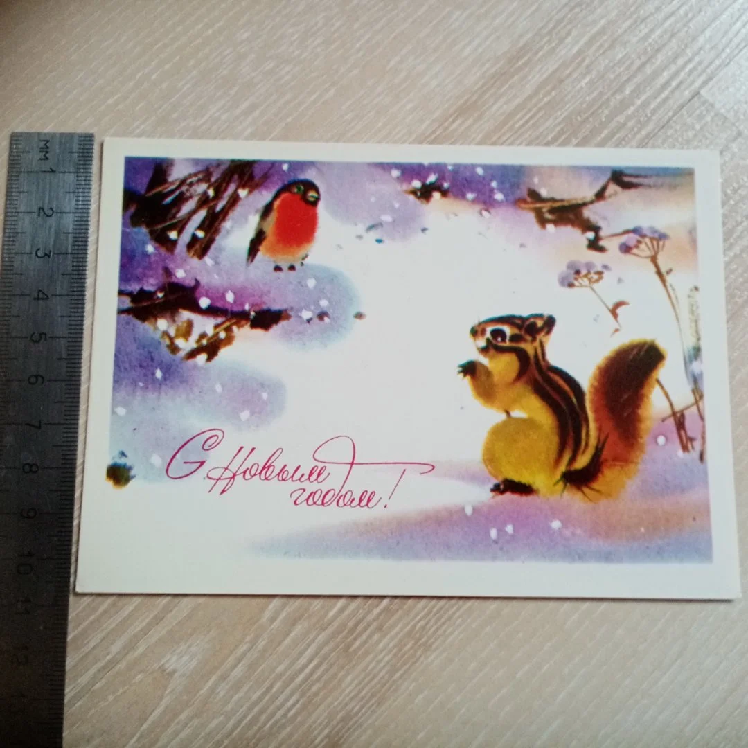 Открытка. С Новым Годом! Каневский. 1981 г Не подпис Белка, снегирь.(2222) - изображение 1