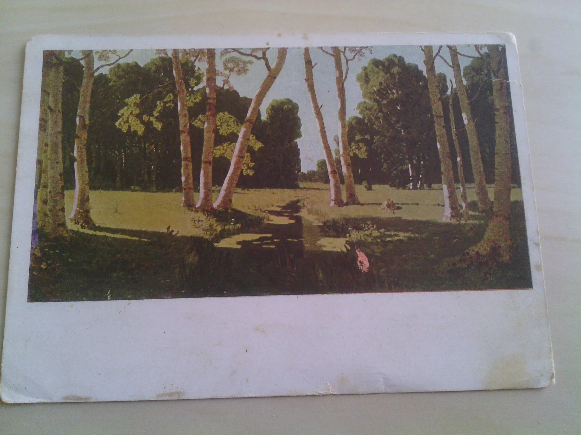 Открытка. Березовая роща. А.И.Куинджи. 1928 г Не подпис  (д2)