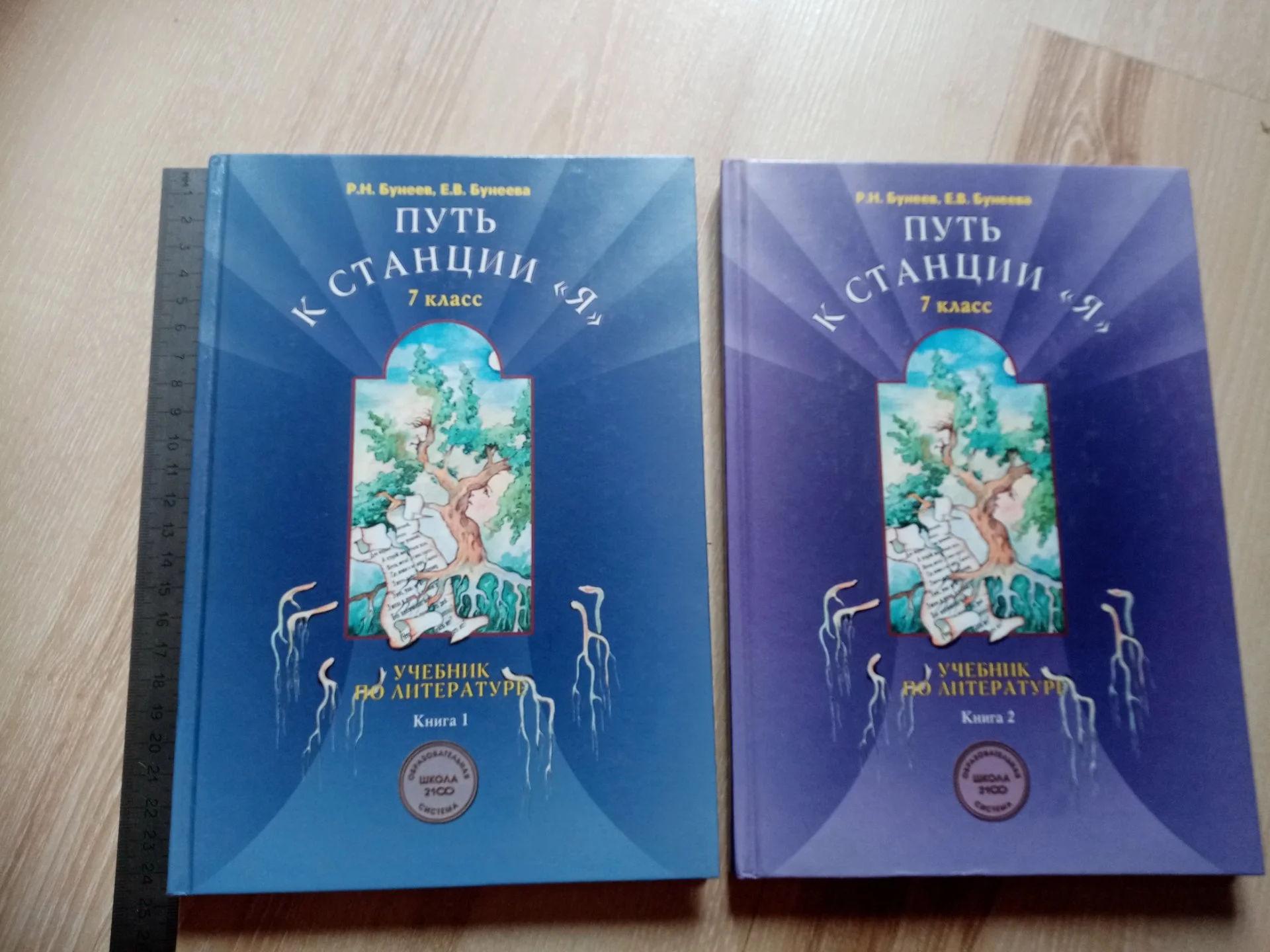 Книга. Учебник по литературе. Путь к станции "Я" Бунеев, Бунеева. 7 класс 2005 г. 2 книги. (с4) - изображение 1