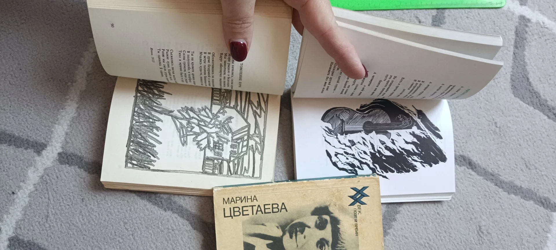 Книга. 6 шт 20 век:поэт и время.Рождественский, Брюсов, Цветаева,Северянин,Ходасевич,Набоков(!) - миниатюра 5