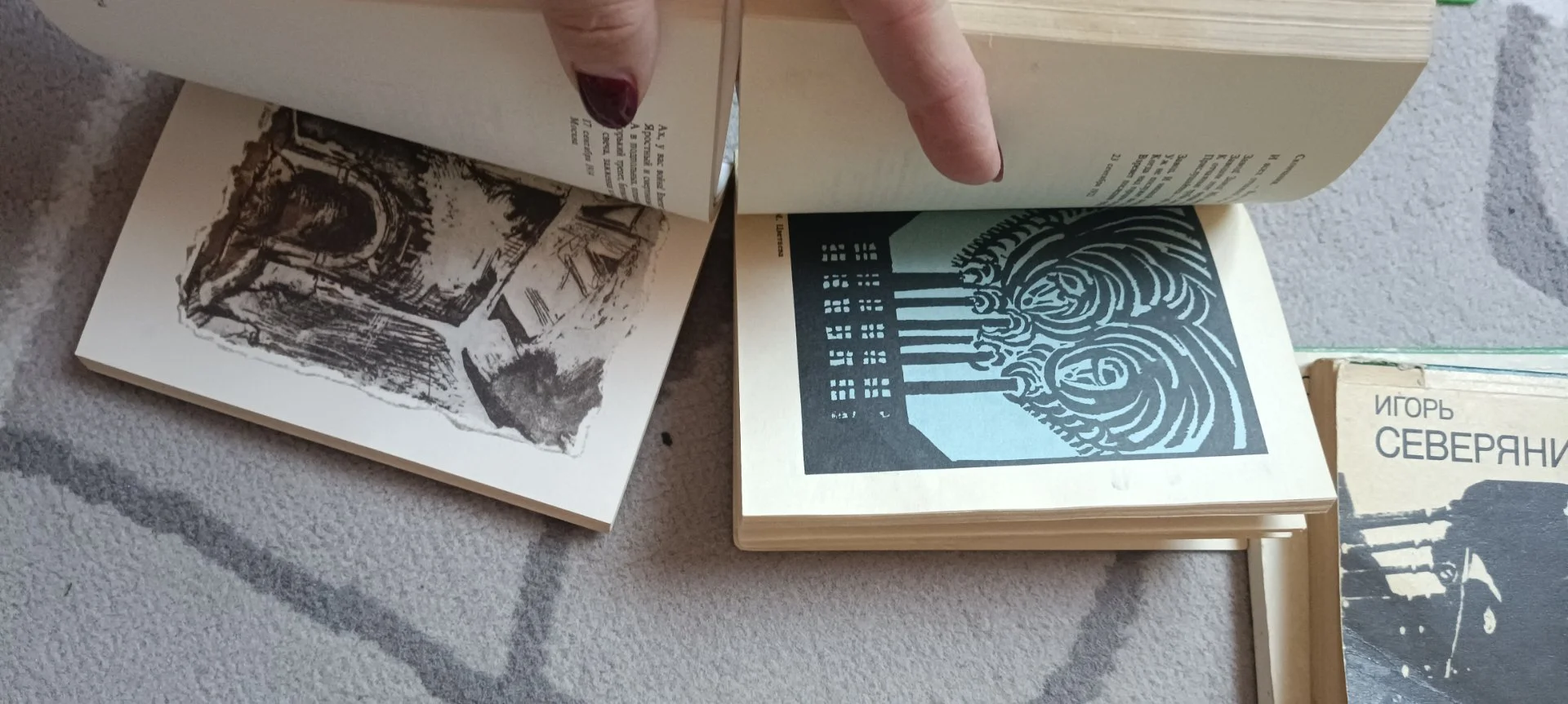 Книга. 6 шт 20 век:поэт и время.Рождественский, Брюсов, Цветаева,Северянин,Ходасевич,Набоков(!) - миниатюра 6