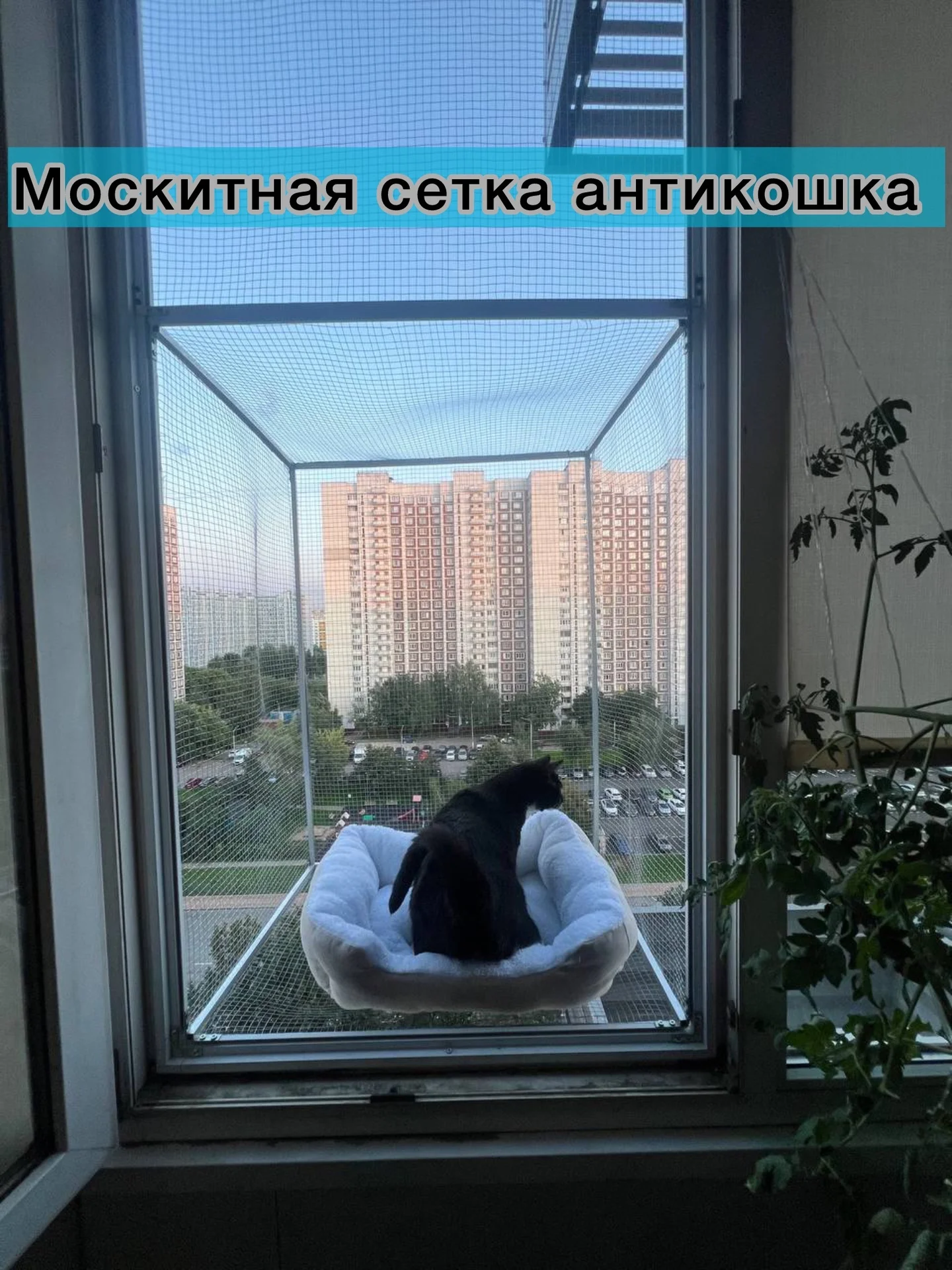 Ремонт окон москитные сетки - миниатюра 8