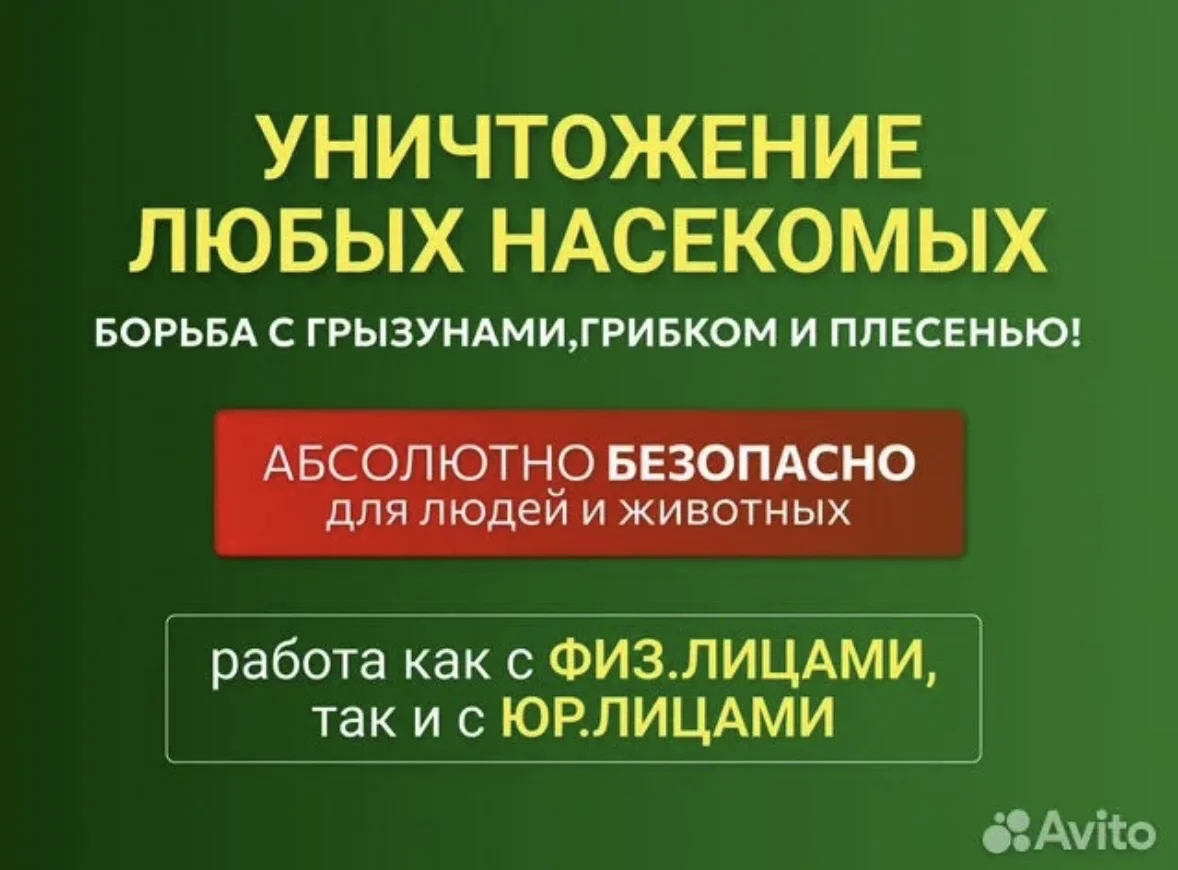Дезинсекция, акарицидная обработка - миниатюра 4