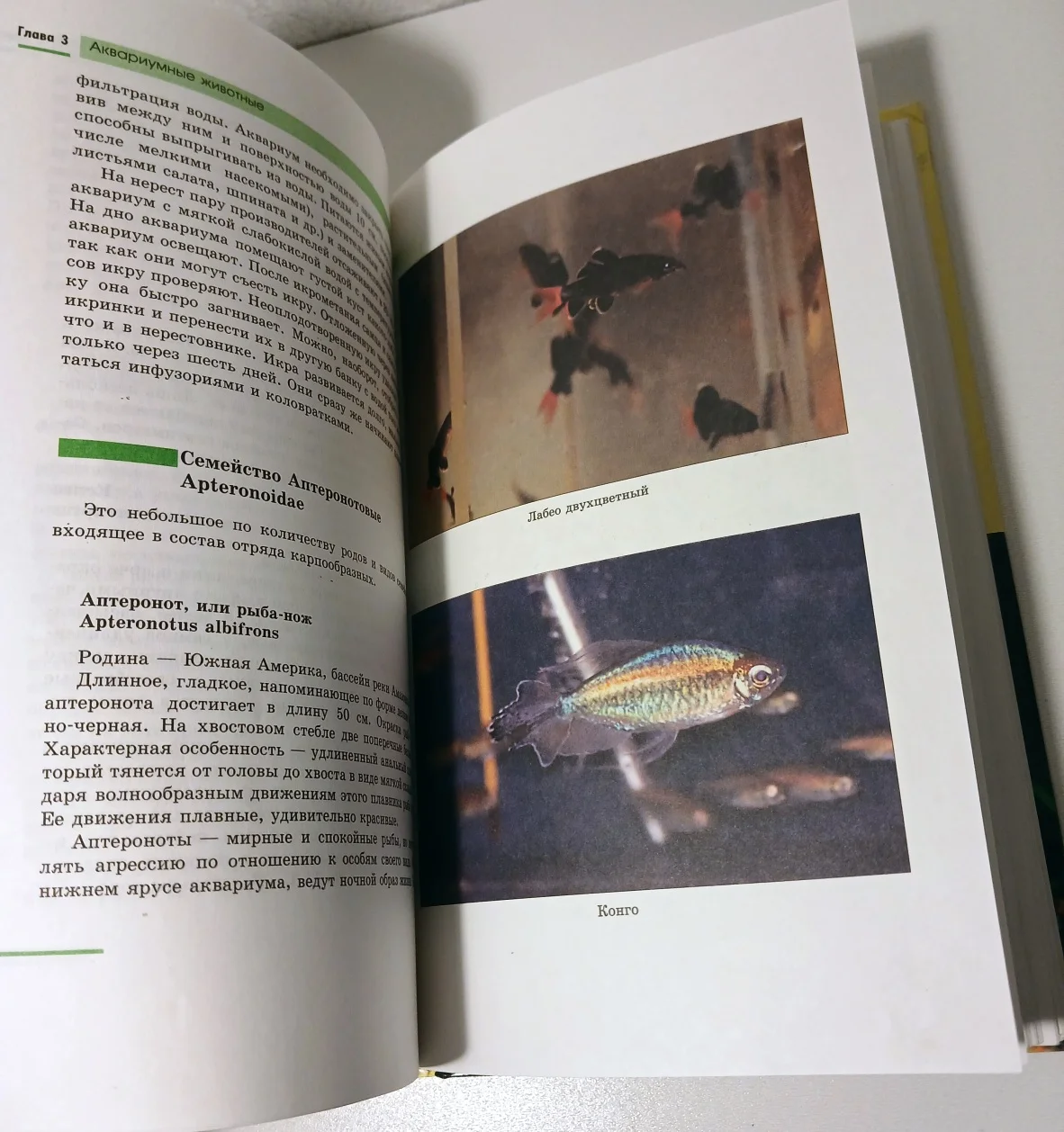 Полная энциклопедия аквариумиста - миниатюра 8