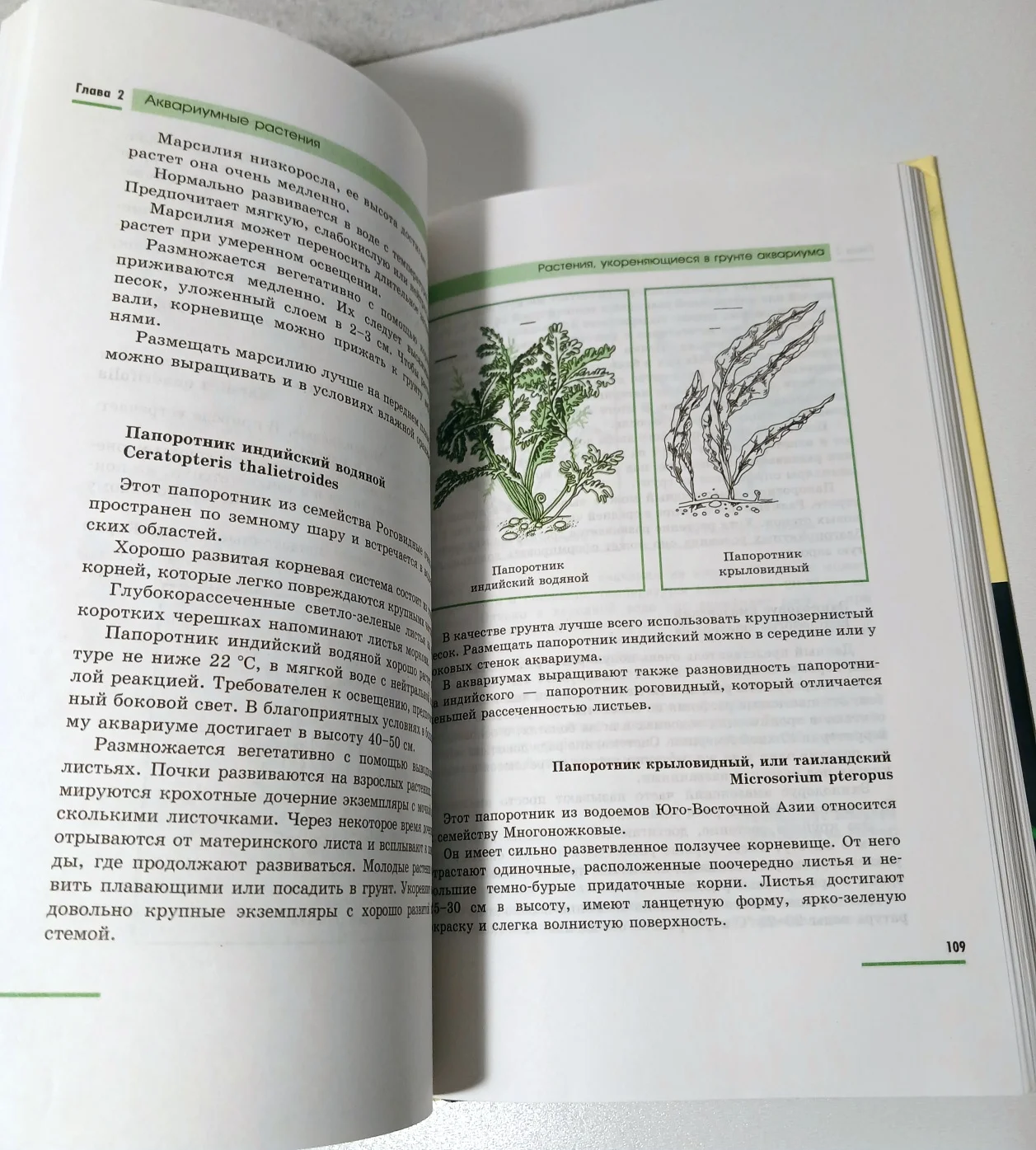 Полная энциклопедия аквариумиста - миниатюра 11