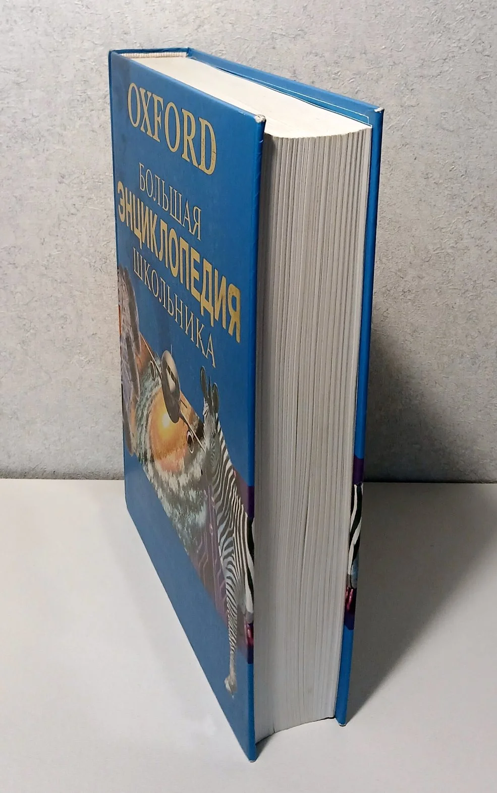 Большая энциклопедия школьника. (Oxford) - миниатюра 2