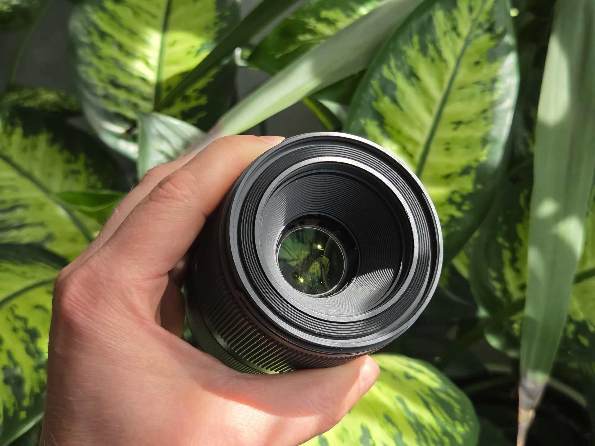 Объектив Sigma AF 70mm f/2.8 DG Macro Art Sony E - миниатюра 6