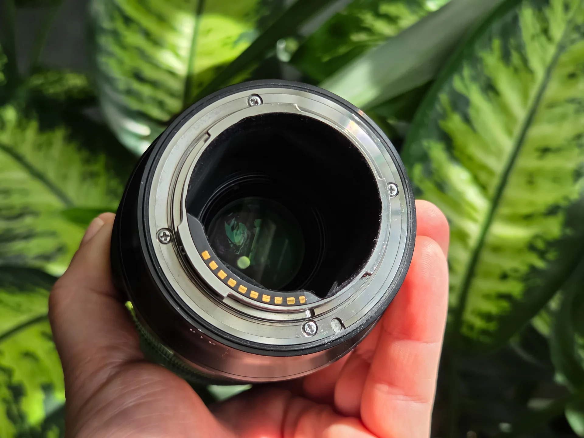 Объектив Sigma AF 70mm f/2.8 DG Macro Art Sony E - миниатюра 7