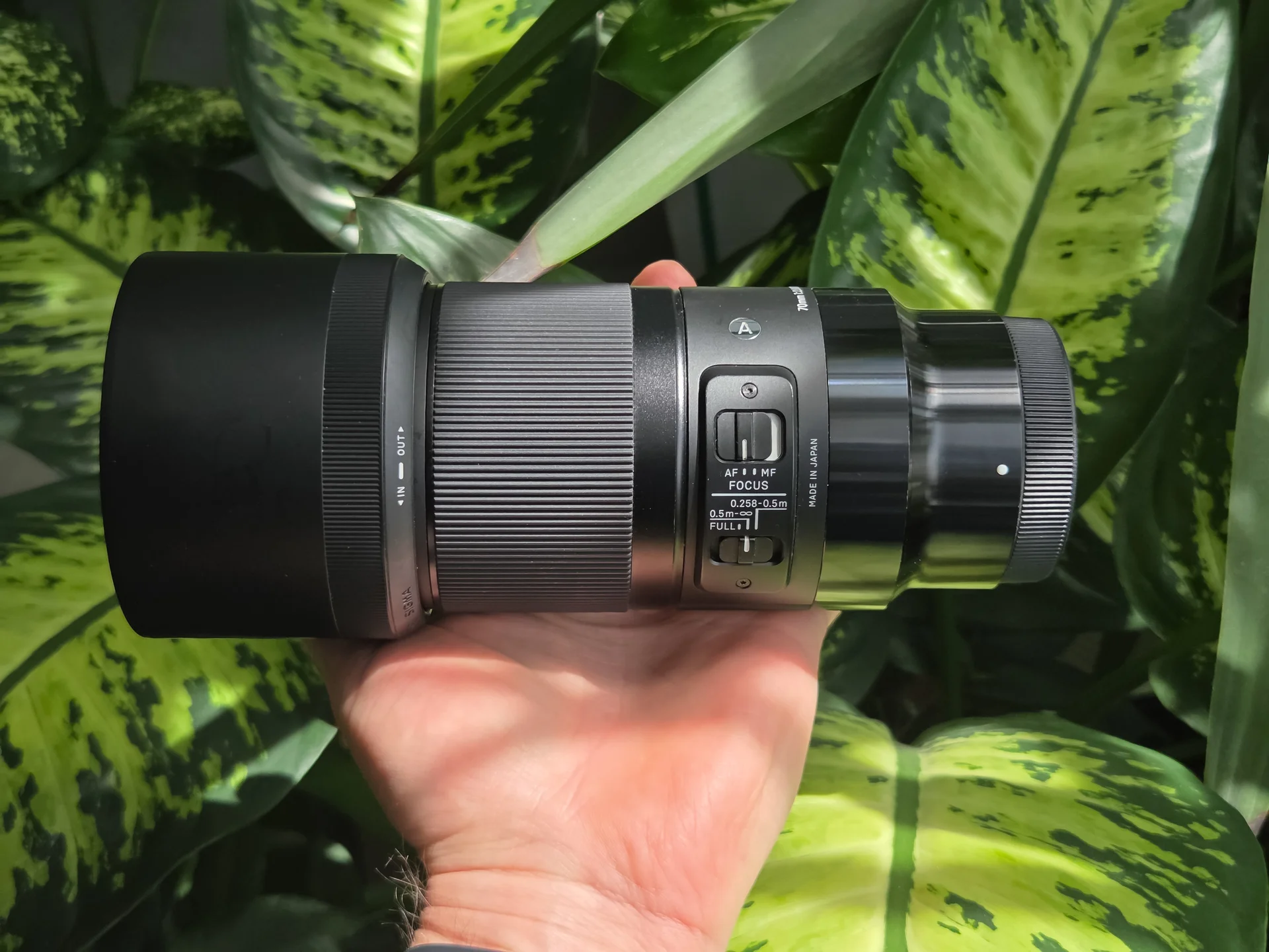 Объектив Sigma AF 70mm f/2.8 DG Macro Art Sony E - миниатюра 9