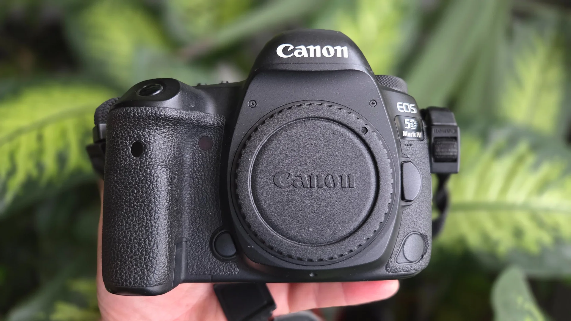 Фотоаппарат Canon 5D mark IV - миниатюра 2