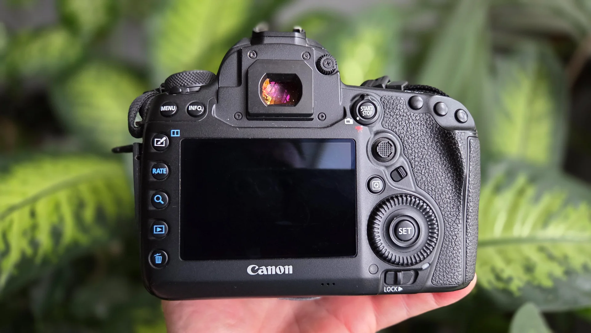 Фотоаппарат Canon 5D mark IV - миниатюра 3