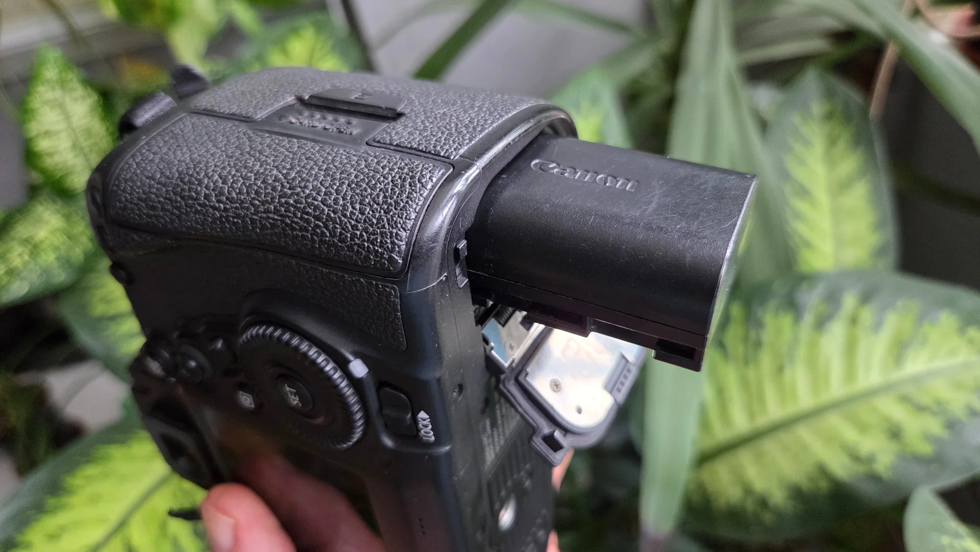 Фотоаппарат Canon 5D mark IV - миниатюра 5