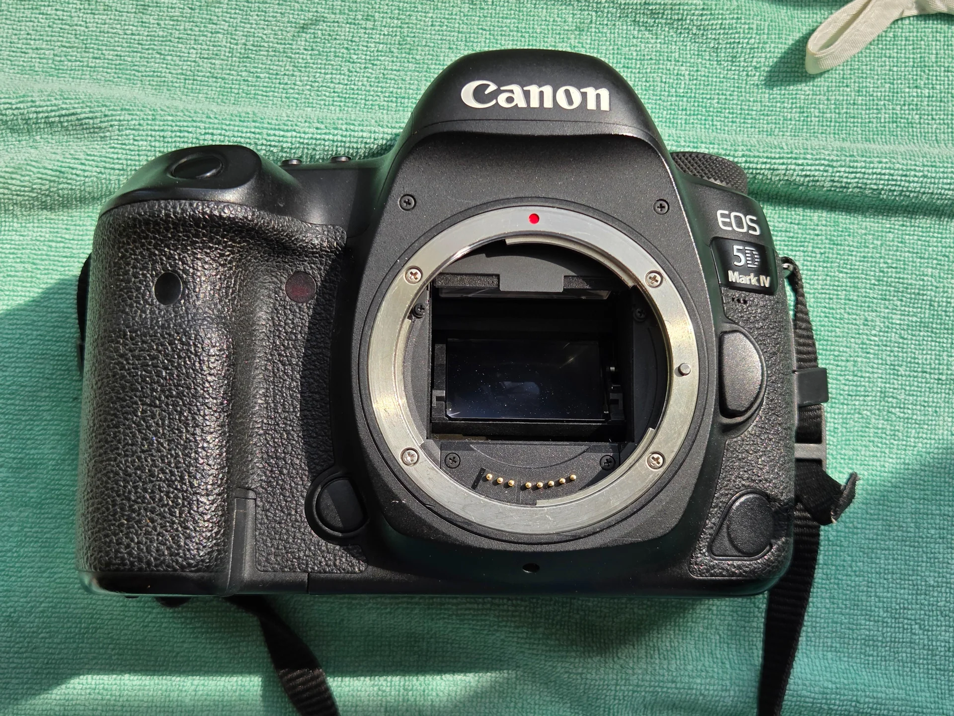 Фотоаппарат Canon 5D mark IV - миниатюра 9