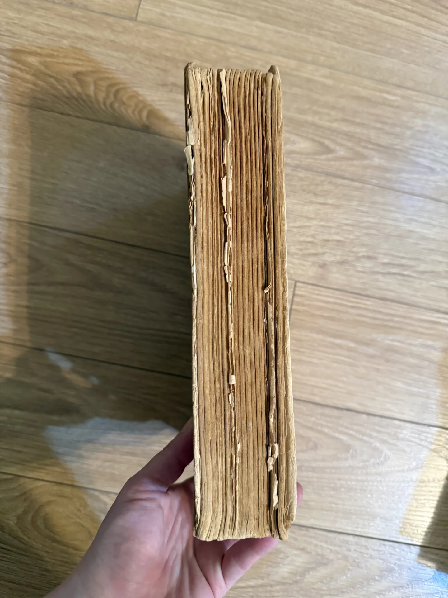 Книга старинная Пушкин 1987 г - миниатюра 16