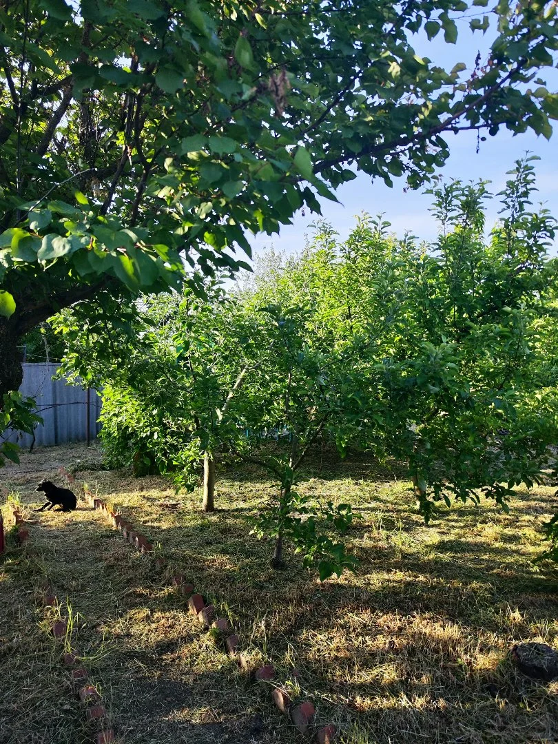 Продаю дом в курортном городе Ейск - миниатюра 20