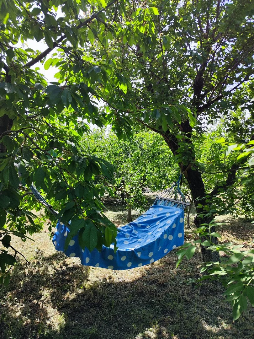 Продаю дом в курортном городе Ейск - миниатюра 28