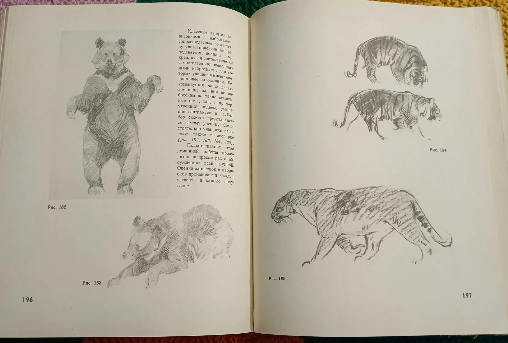 А.О.Барщ Рисунок в средней художественной школе - миниатюра 3
