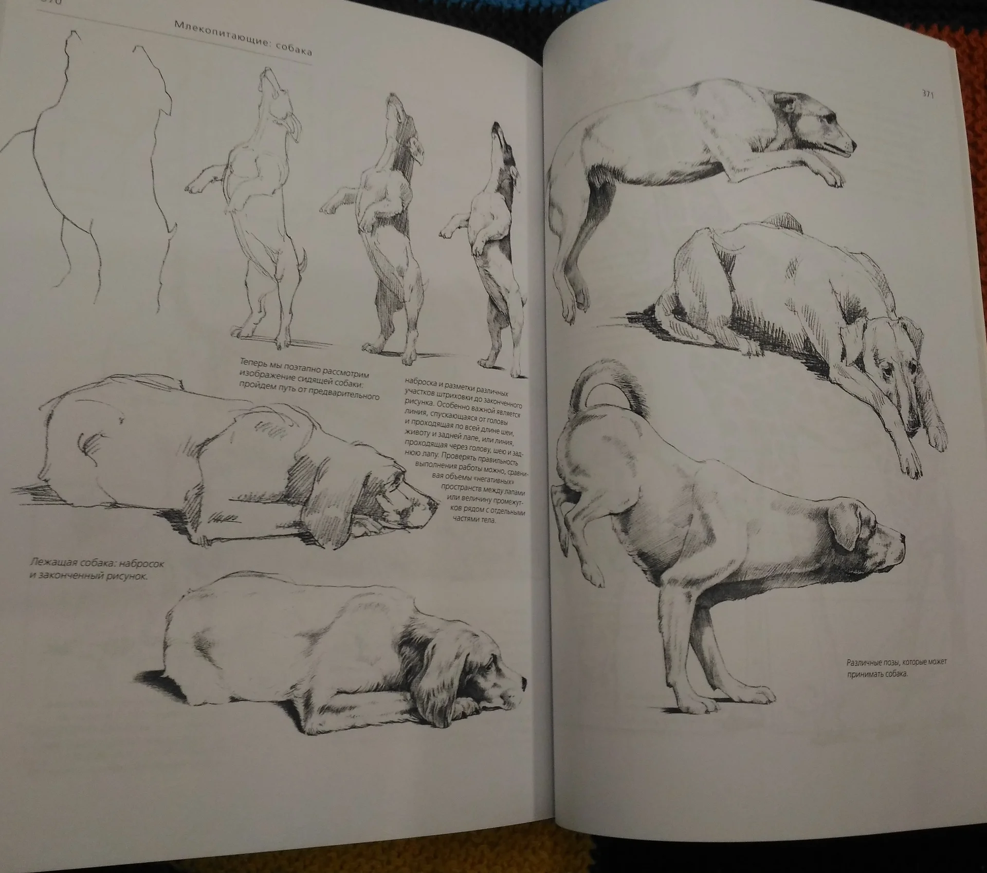 Андраш Суньоги. Большая книга рисования - миниатюра 6