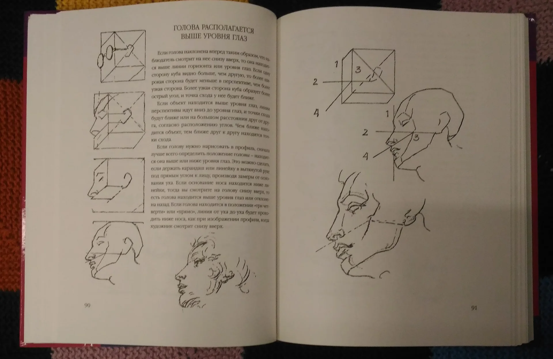 Джордж Бриджмен. Koнструктивная анатoмия - миниатюра 7