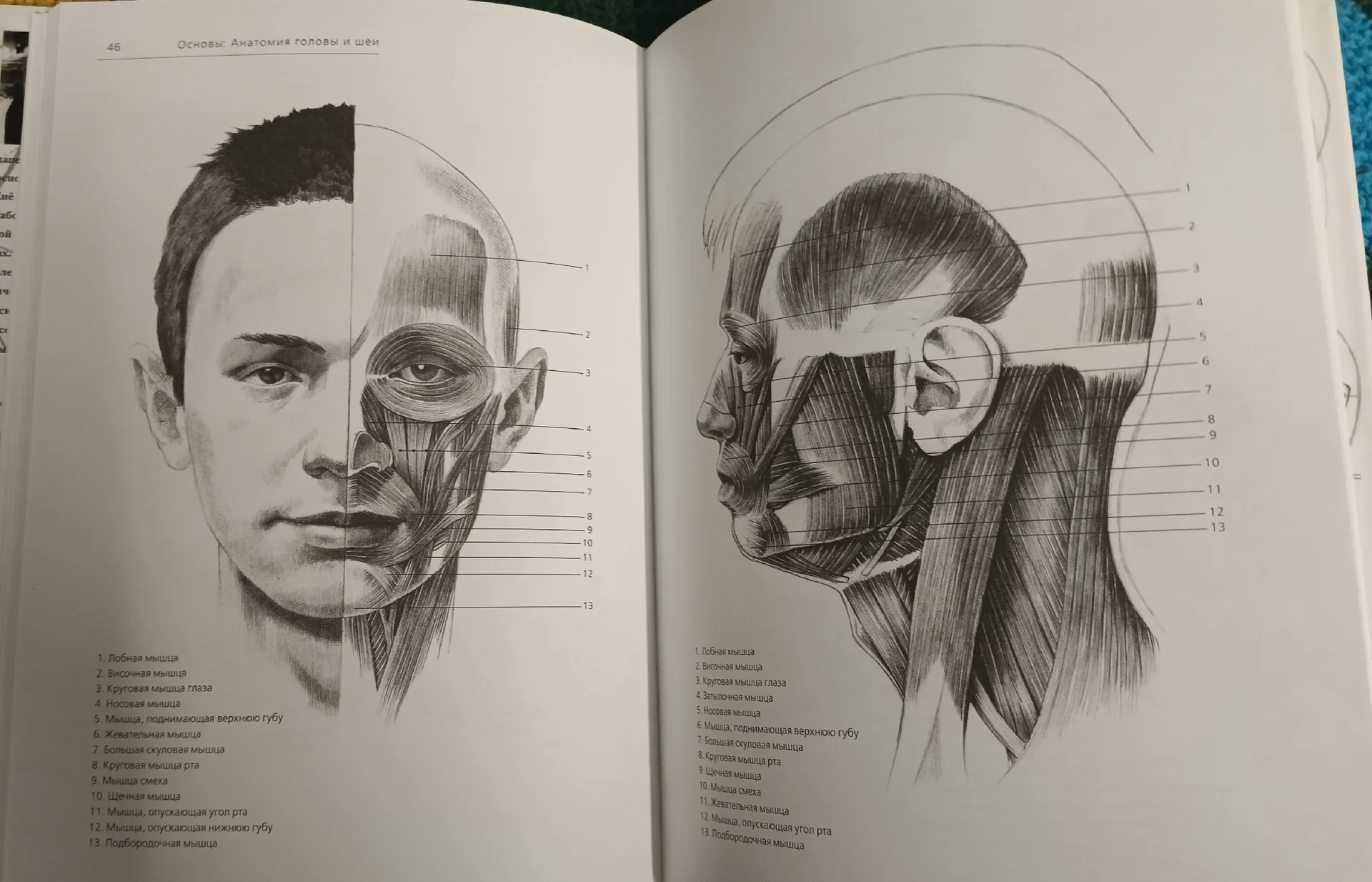 Андраш Суньоги: Большая книга рисования. Портрет - миниатюра 5
