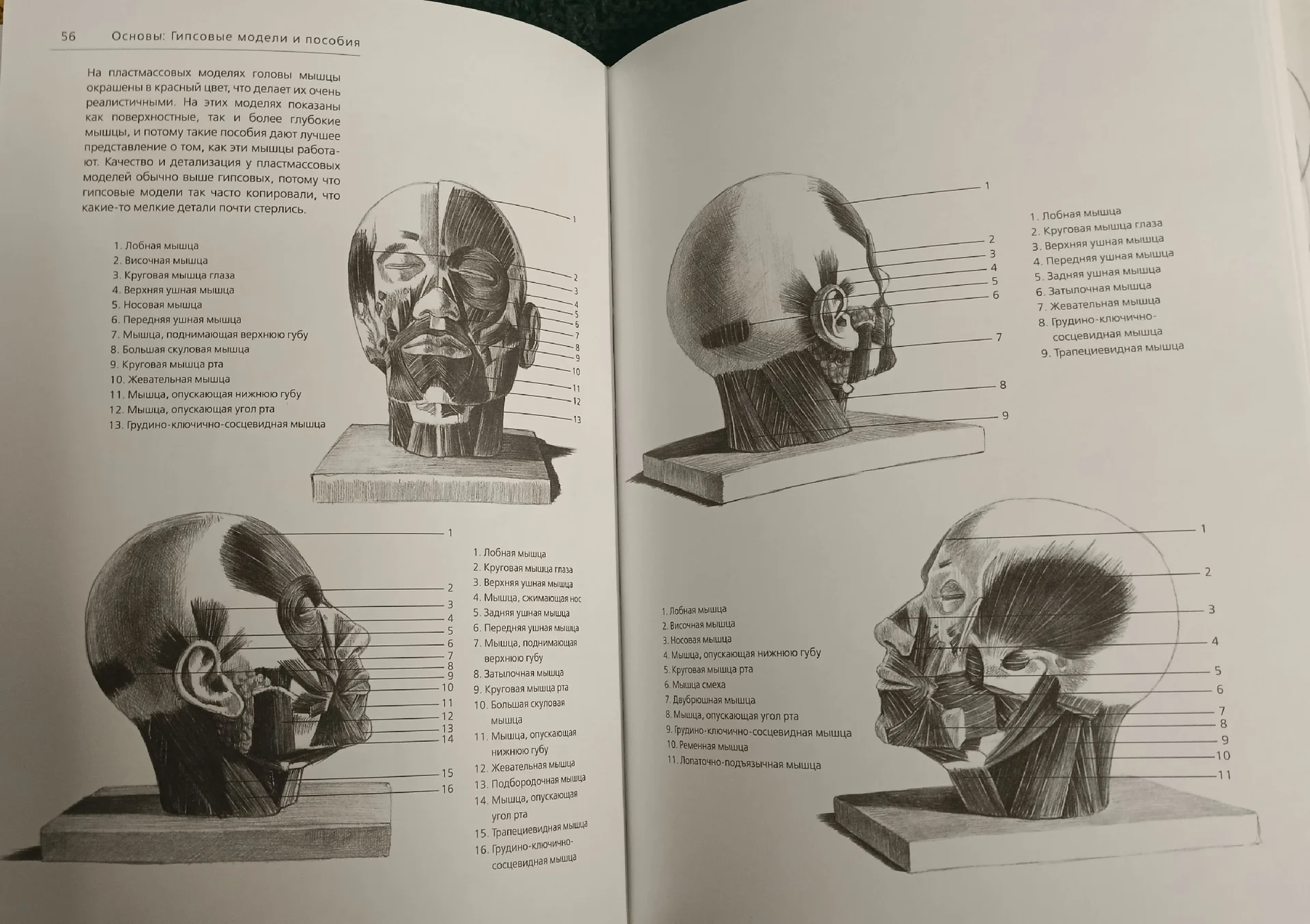 Андраш Суньоги: Большая книга рисования. Портрет - миниатюра 6