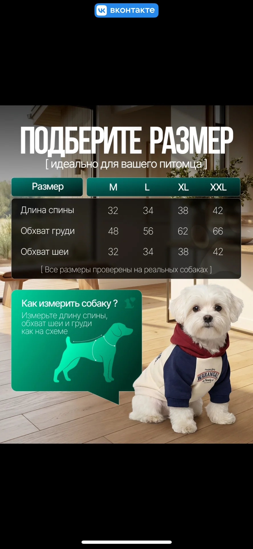 одежда шлейка для собак мелких пород - миниатюра 6