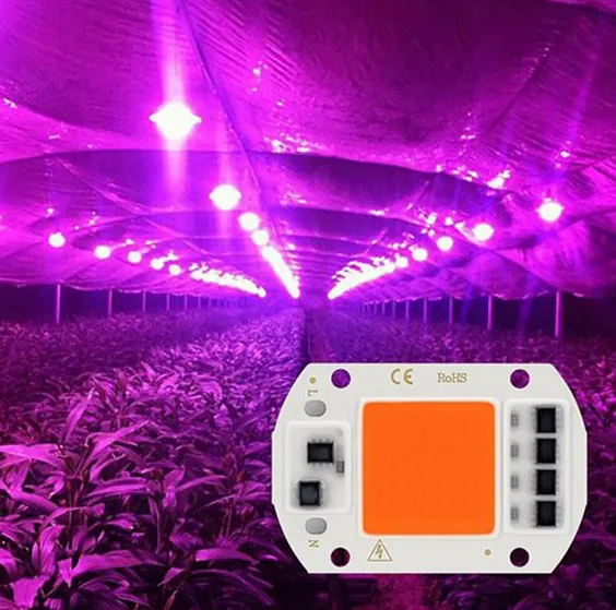Светодиодная фитоматрица 220V, 30 и 50W - изображение 1