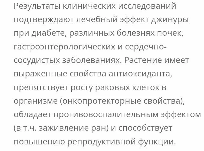 Джинура. Листья бога. Лекарство от 100 болезней. - миниатюра 5