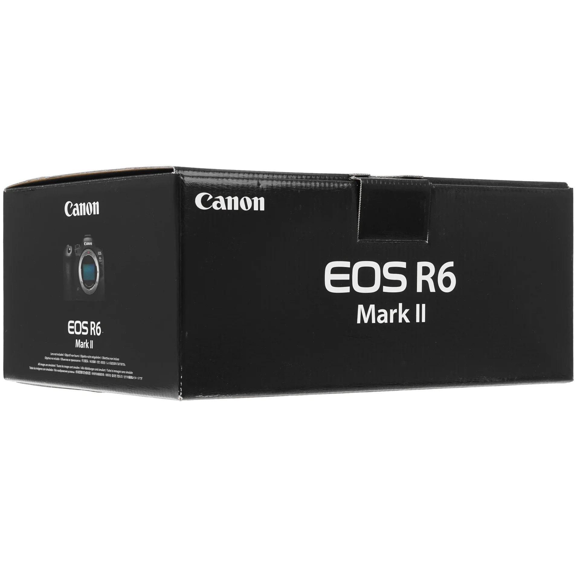 Беззеркальный фотоаппарат Canon EOS R6 Mark II Body - изображение 1