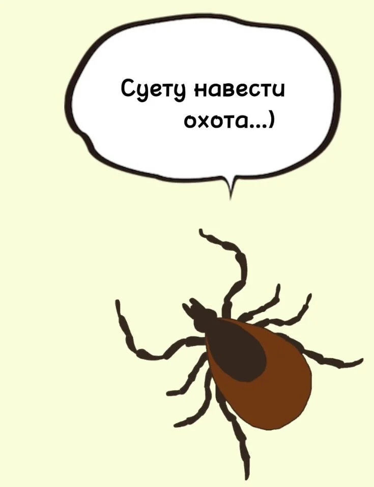 Страховка от клещей - изображение 1