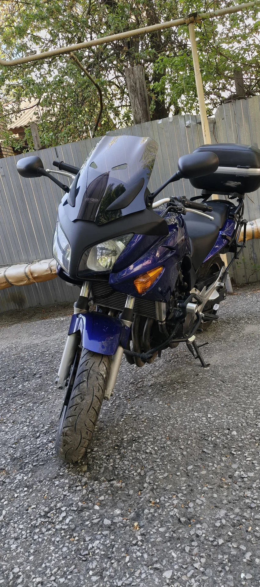 Cbf600Sa 2006 - изображение 1