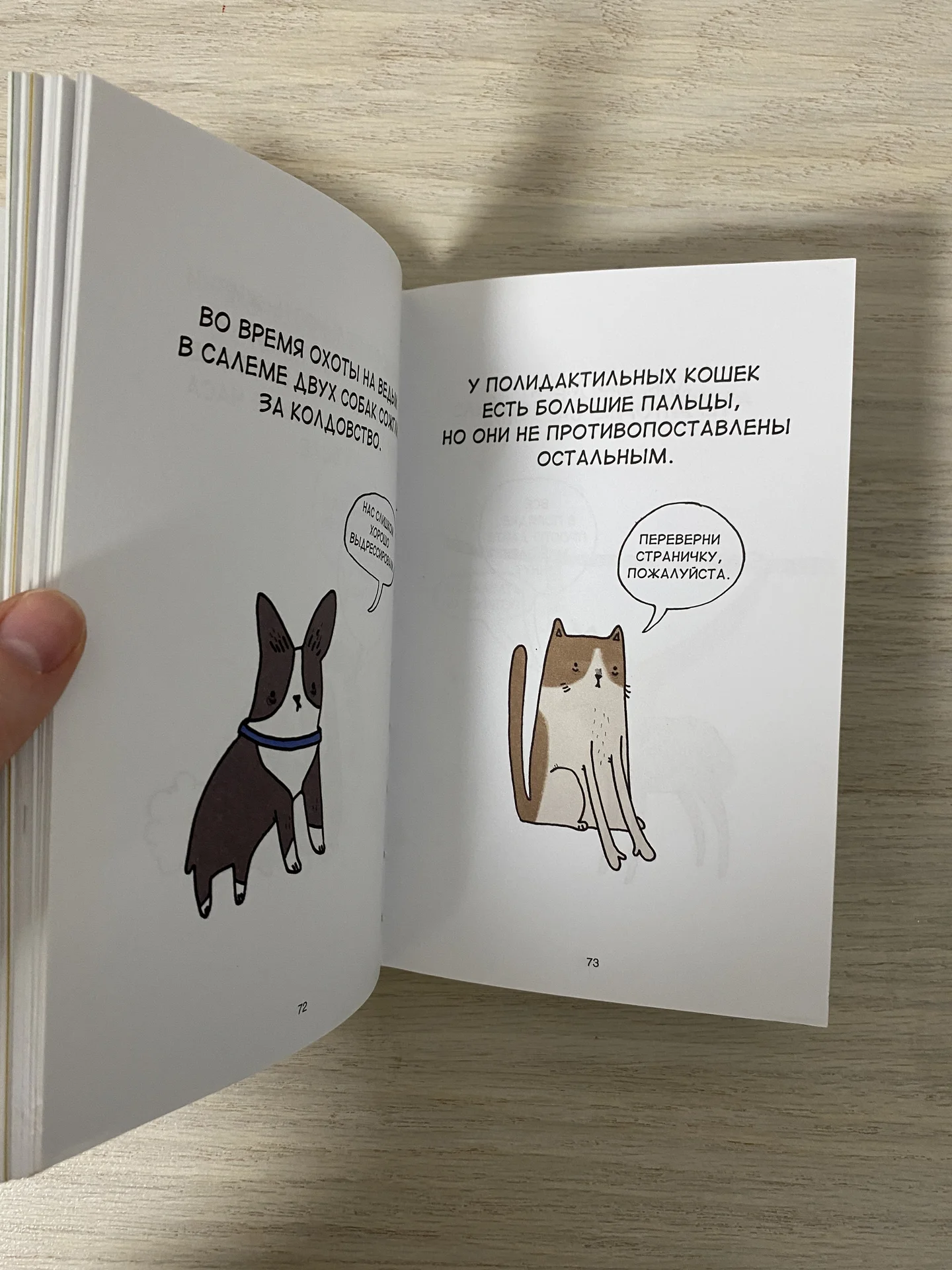 книга грустные факты о животных Брук Баркер - миниатюра 5