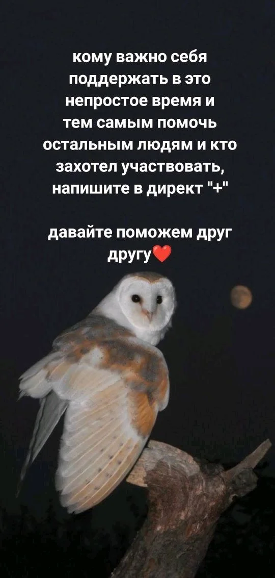 Женская садхана - миниатюра 5