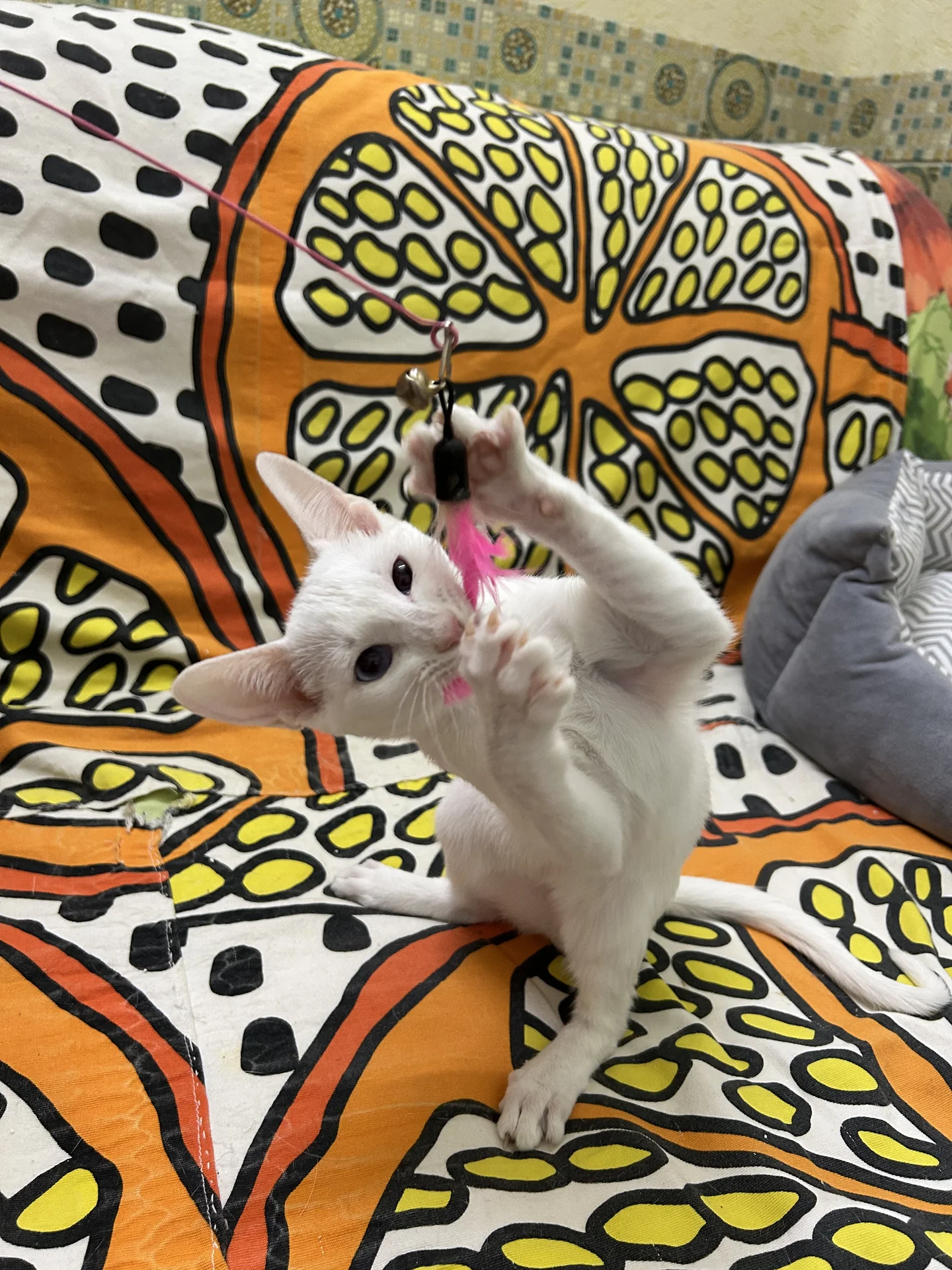 Котенок - миниатюра 6
