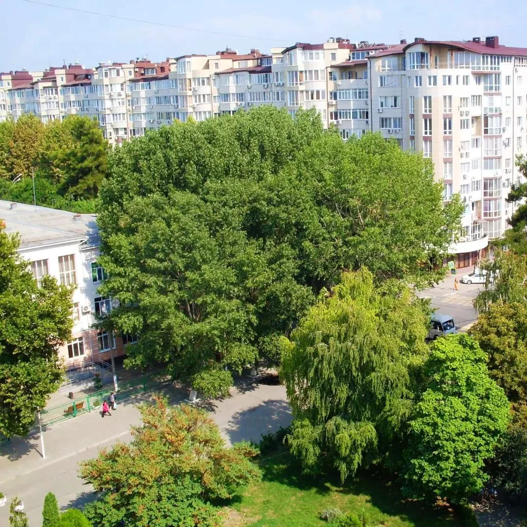 2-х комн квартира Анапа, ул. Крымская, 183 - миниатюра 9