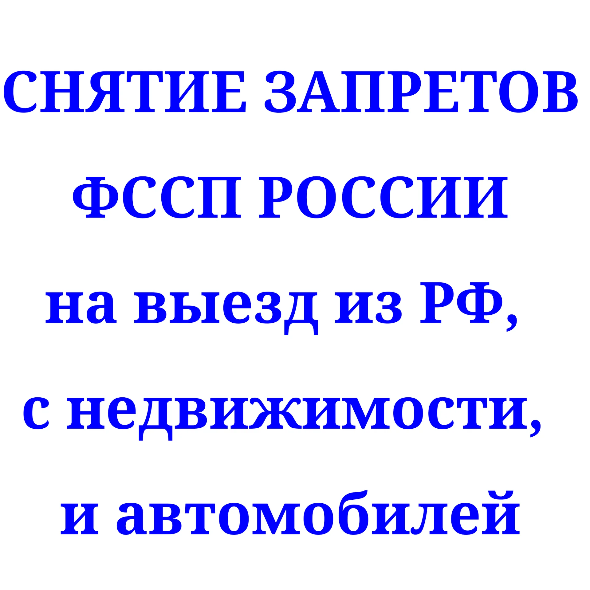 Снятие запретов, арестов, судебных приставов - изображение 1