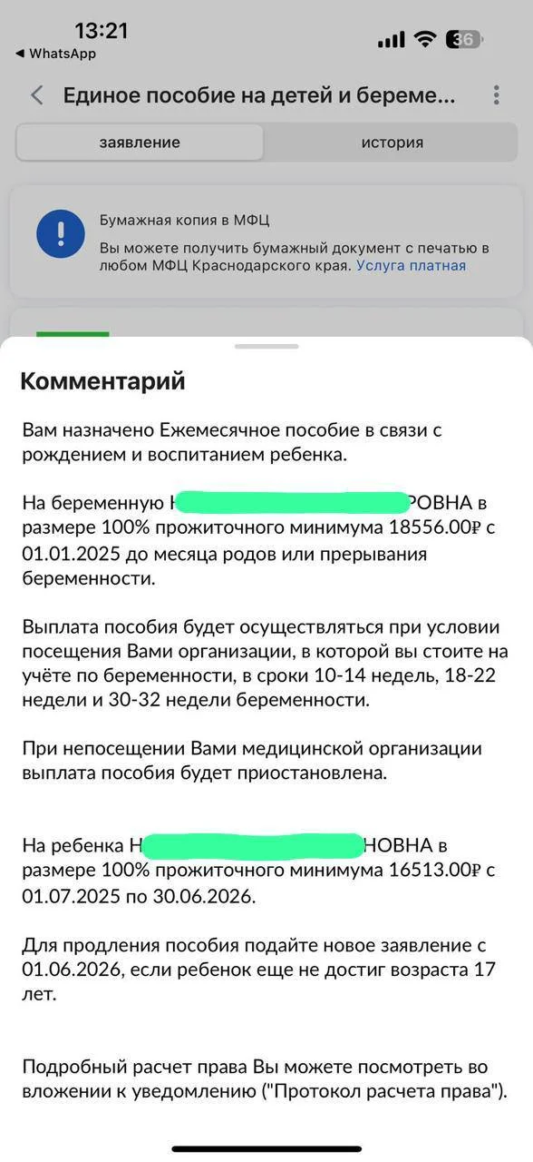 Эксперт по детским пособиям и семейным выплатам - миниатюра 2