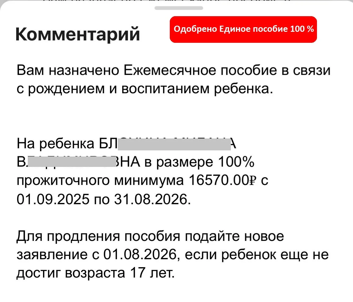 Эксперт по детским пособиям и семейным выплатам - миниатюра 4