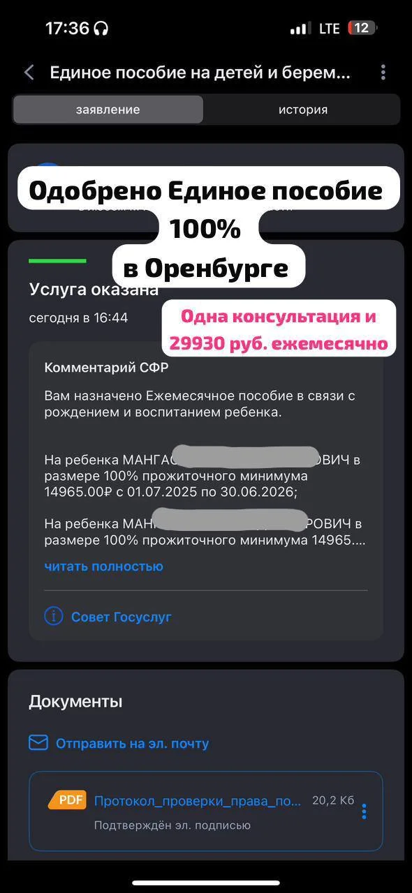 Эксперт по детским пособиям и семейным выплатам - миниатюра 6
