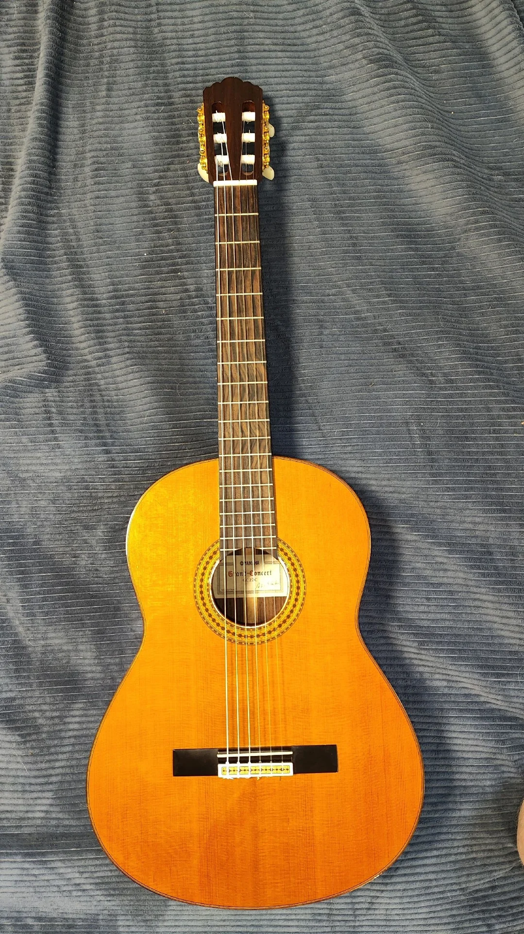 Yamaha GC22C (полный массив) - миниатюра 3