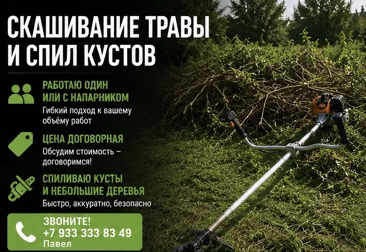 покос травы - миниатюра 2
