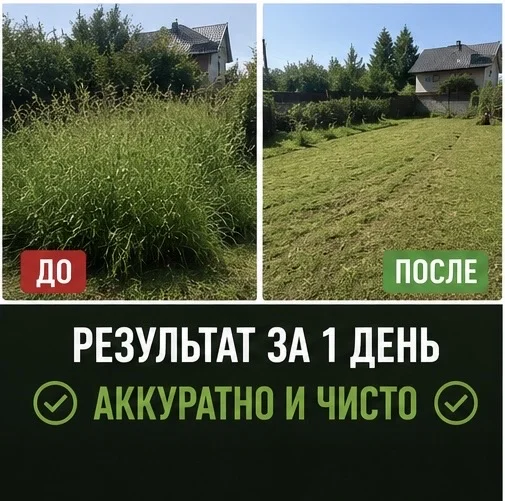 покос травы - миниатюра 3