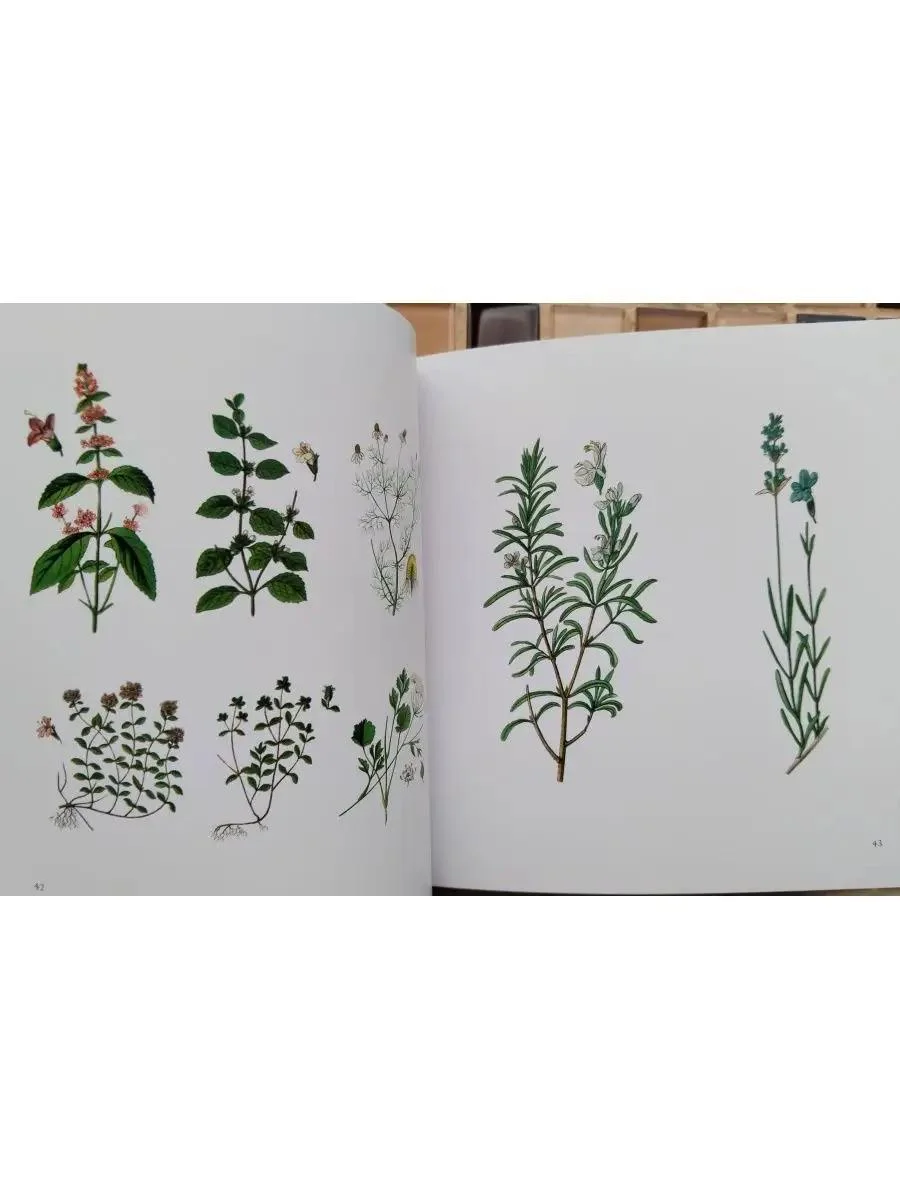 Книга Menu Designs Оформление меню - миниатюра 5