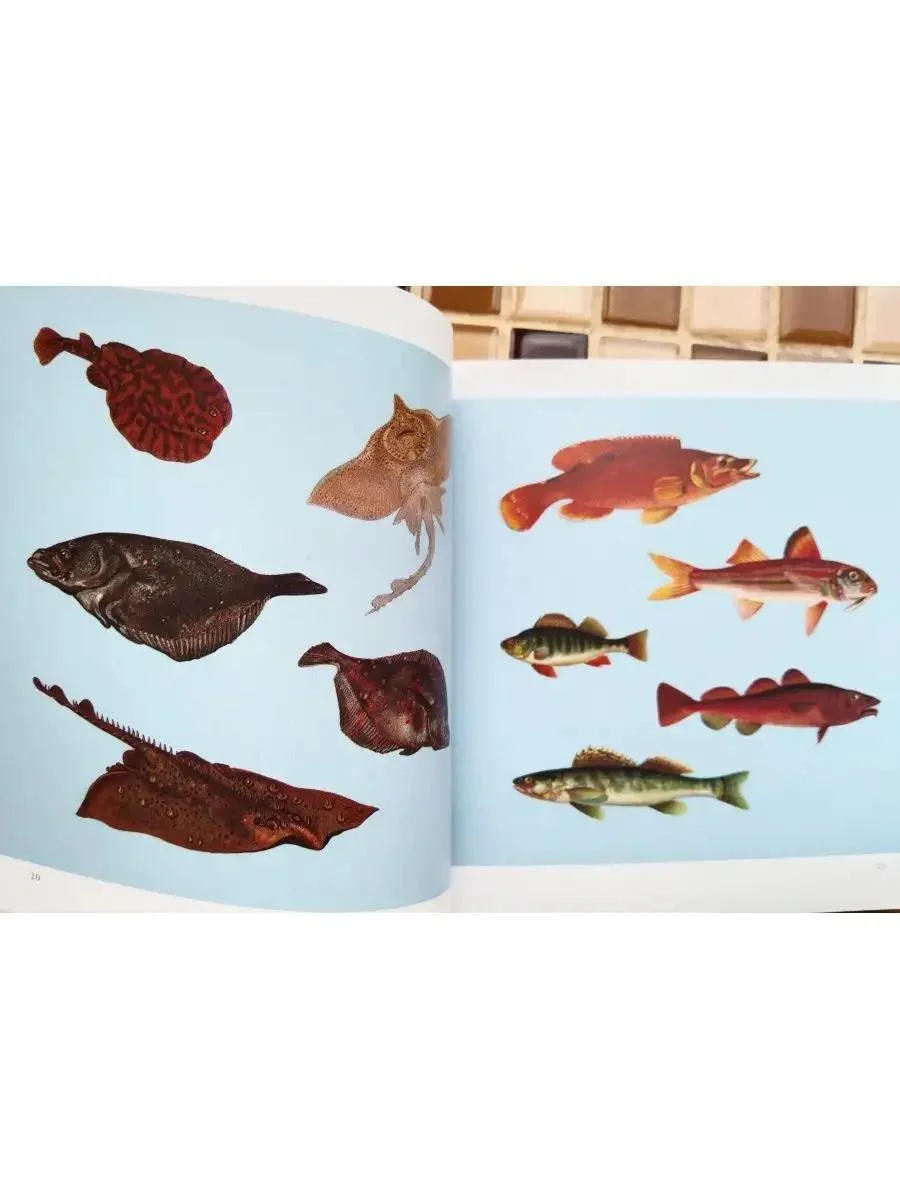 Книга Menu Designs Оформление меню - миниатюра 9