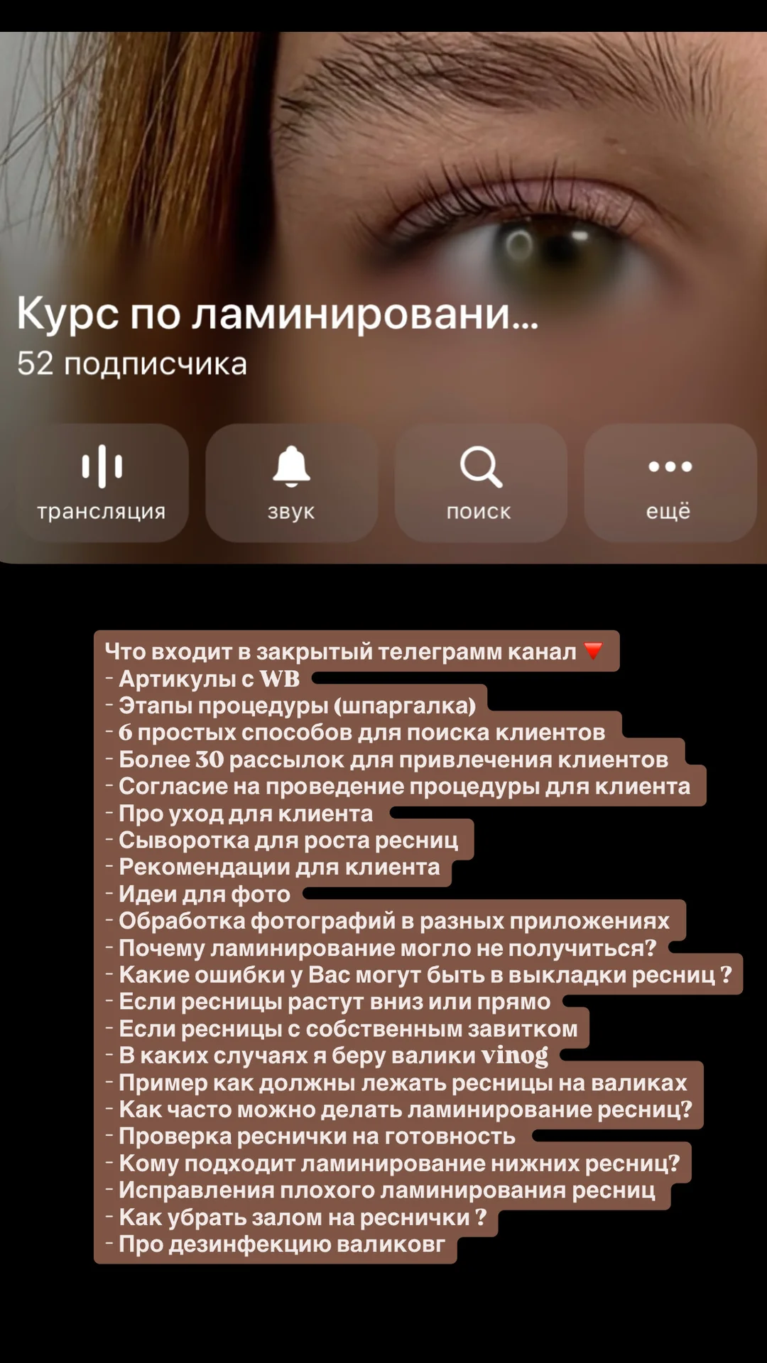 Курс по ламинированию ресниц и бровей - миниатюра 3